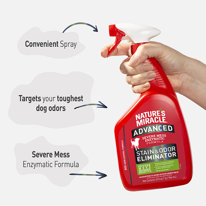 Nature's miracle dog stain and clearance odor remover